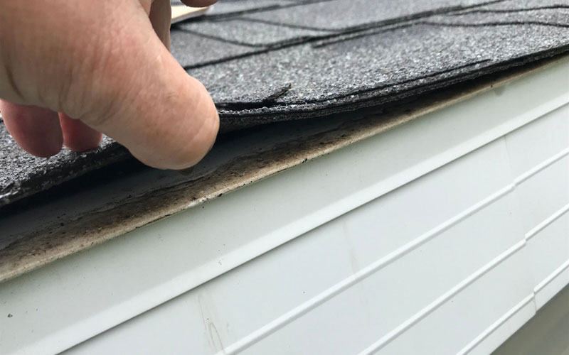 local roof replacement services in Langhorne, PA