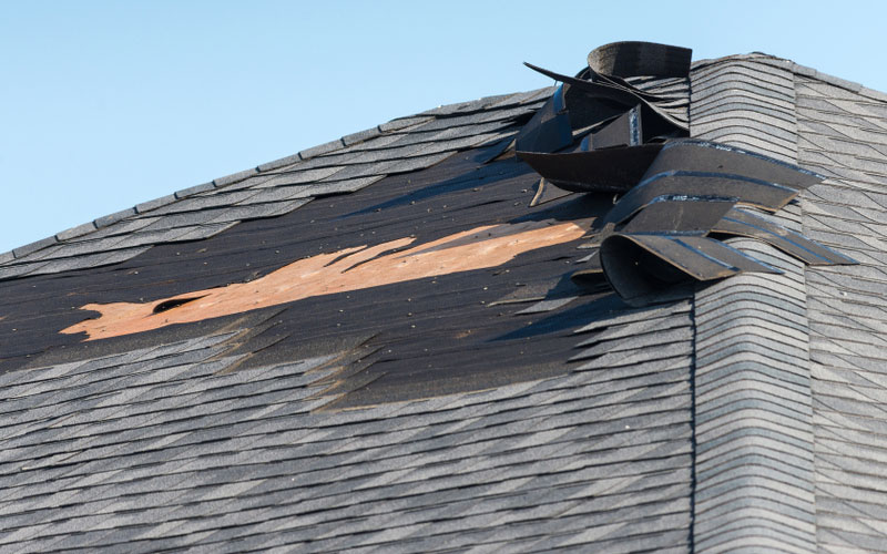 roof wind damage repair services in Langhorne, PA